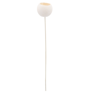 Pojedyncza sztuka suszu egzotycznego Bell Cup na długim, cienkim patyczku. Minimalistyczna forma roślinna gotowa do wykorzystania w stroikach lub wazonie.