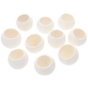 Zestaw 10 sztuk naturalnego suszu egzotycznego Bell Cup w kolorze białym. Główki o średnicy 5-6 cm prezentowane na jasnym tle.