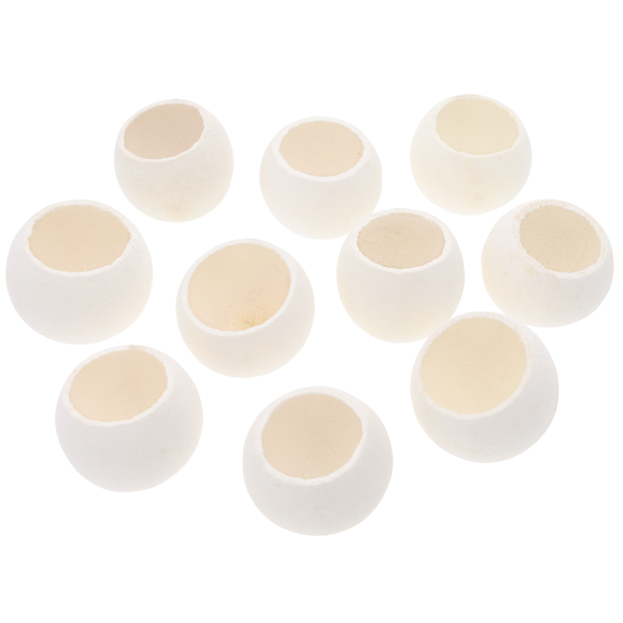 Zestaw 10 sztuk naturalnego suszu egzotycznego Bell Cup w kolorze białym. Główki o średnicy 5-6 cm prezentowane na jasnym tle.