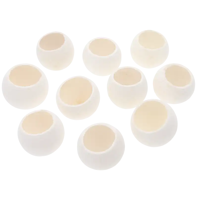 Zestaw 10 sztuk naturalnego suszu egzotycznego Bell Cup w kolorze białym. Główki o średnicy 5-6 cm prezentowane na jasnym tle.