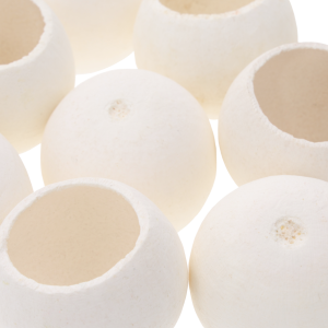 Detale powierzchni białych główek suszu egzotycznego Bell Cup. Naturalna forma o średnicy 5-6 cm w ujęciu z bliska.