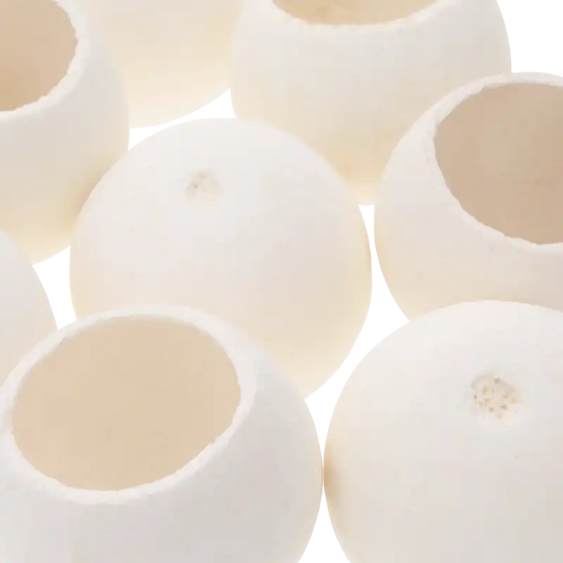 Detale powierzchni białych główek suszu egzotycznego Bell Cup. Naturalna forma o średnicy 5-6 cm w ujęciu z bliska.