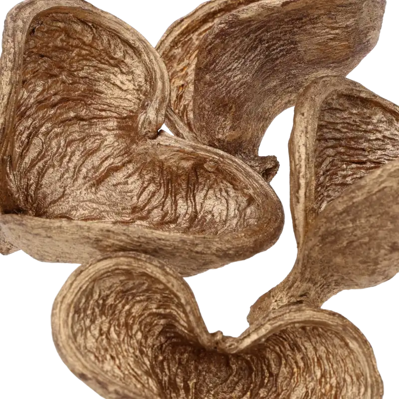 Zbliżenie na wewnętrzną strukturę złotych kielichów Badam. Widoczna porowata faktura naturalnego suszu egzotycznego.