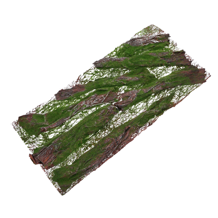 Prostokątna mata z mchem o wymiarach 50x24 cm ułożona pod kątem, pokazująca strukturę materiału i leśny wzór.