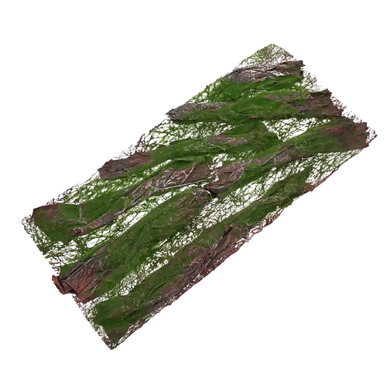 Prostokątna mata z mchem o wymiarach 50x24 cm ułożona pod kątem, pokazująca strukturę materiału i leśny wzór.