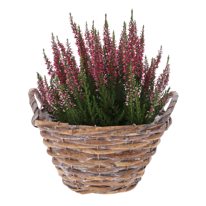 osłonka wiklinowa, osłonka na doniczkę, wiklina, kosz wiklinowy, osłonka 25 cm, wielobarwna osłonka, osłonka z folią, dekoracje florystyczne, stroiki, osłonka na kwiaty, wiklinowe ozdoby, naturalne dekoracje