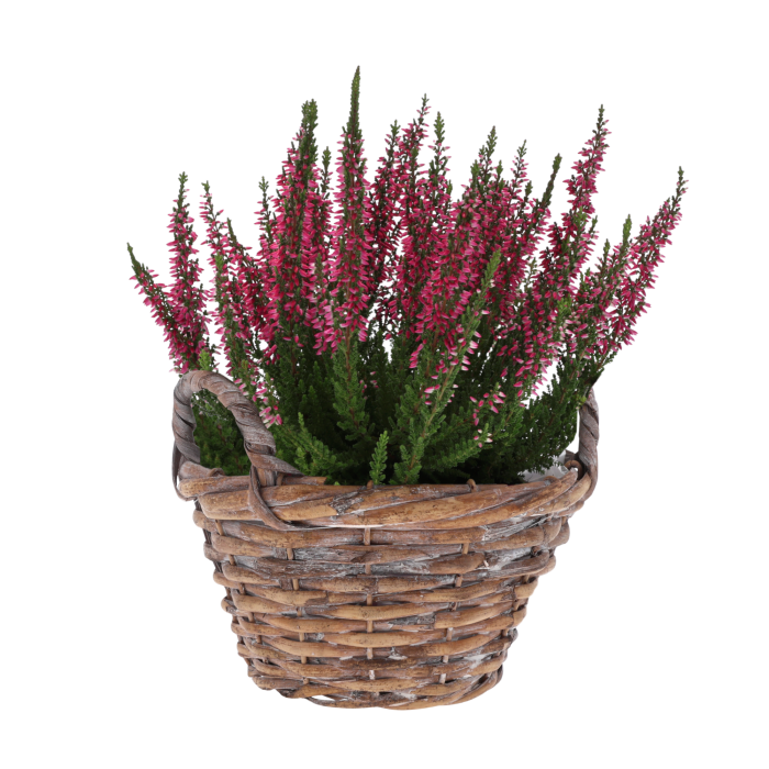 osłonka wiklinowa, osłonka na doniczkę, wiklina, kosz wiklinowy, osłonka 20 cm, wielobarwna osłonka, osłonka z folią, dekoracje florystyczne, stroiki, osłonka na kwiaty, wiklinowe ozdoby, naturalne dekoracje, osłonka z uszami