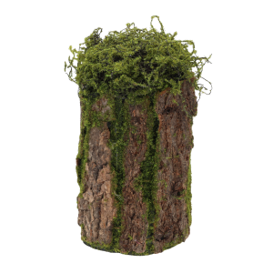 Rustykalna kora dekoracyjna w formie cylindra 33x15 cm z naturalnym mchem, idealna baza do własnych kompozycji florystycznych i ozdoba wnętrz.