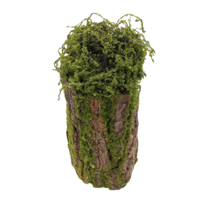Cylindryczna dekoracja z kory i mchu o wysokości 33 cm, ukazana w ujęciu lekko z góry, eksponującym naturalną strukturę materiałów.