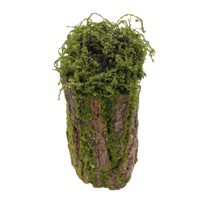 Cylindryczna dekoracja z kory i mchu o wysokości 33 cm, ukazana w ujęciu lekko z góry, eksponującym naturalną strukturę materiałów.