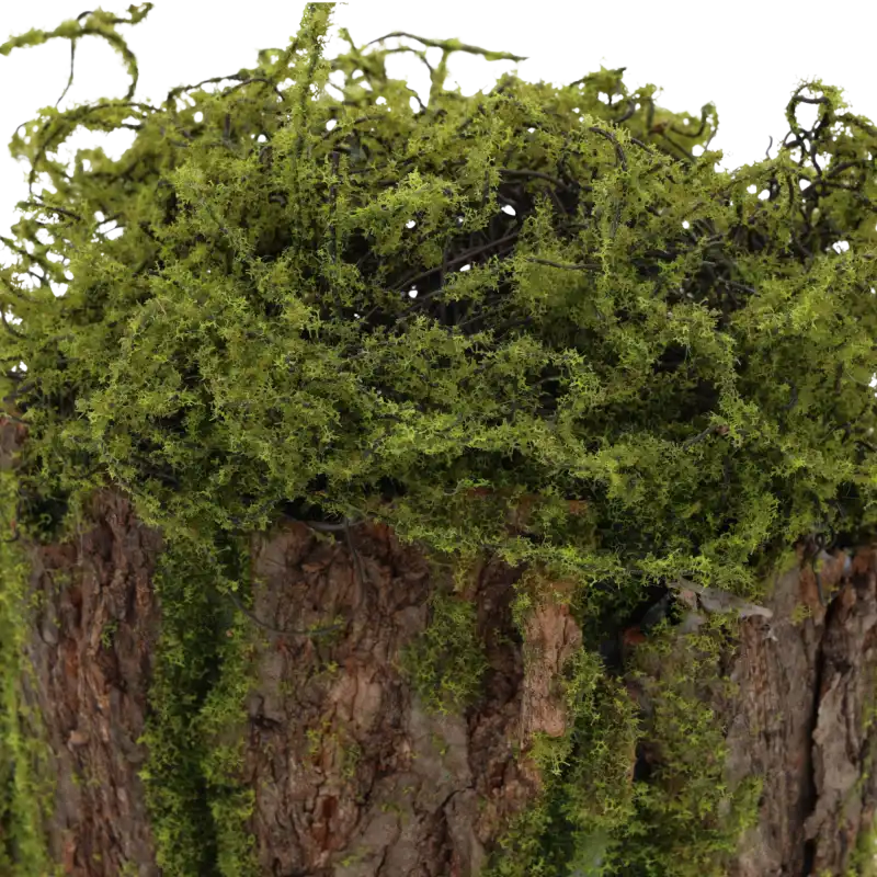 Zbliżenie na górną część dekoracji, pokazujące szczegółowe wykończenie z zielonego mchu na naturalnej korze drzewnej.