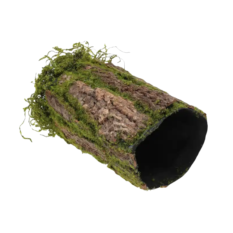 Widok na pusty środek cylindra z kory, który umożliwia łatwe umieszczenie świecy, znicza lub innych elementów dekoracyjnych.