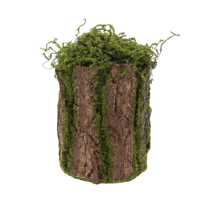 Rustykalna kora dekoracyjna w formie cylindra o wymiarach 27x17 cm, zdobiona naturalnym mchem. Uniwersalna baza do stroików.
