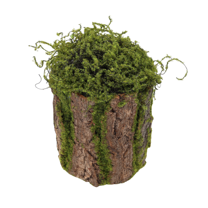 Zbliżenie na górną część dekoracyjnego cylindra z kory, wykończonego naturalnie wyglądającym mchem i leśnymi elementami.
