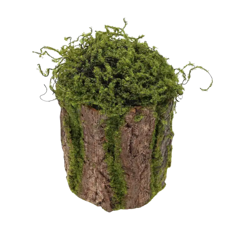 Zbliżenie na górną część dekoracyjnego cylindra z kory, wykończonego naturalnie wyglądającym mchem i leśnymi elementami.