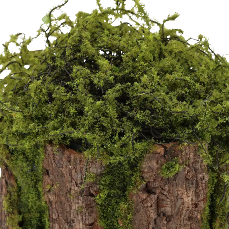 Szczegółowy widok na teksturę naturalnego mchu umieszczonego na wierzchu dekoracyjnej kory w formie cylindra.