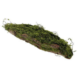 Kora z mchem 45 cm jako podkład florystyczny o naturalnym wyglądzie drewna, idealna baza do kompozycji na stół.