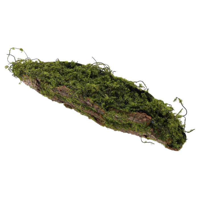 Kora z mchem 45 cm jako podkład florystyczny o naturalnym wyglądzie drewna, idealna baza do kompozycji na stół.