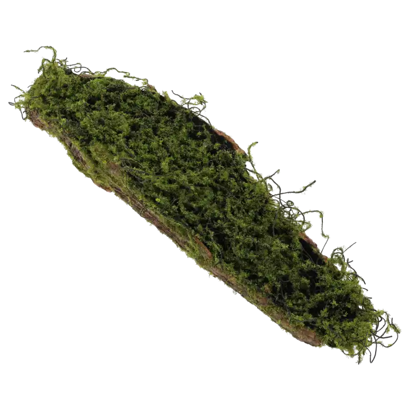 Podłużny podkład florystyczny imitujący drewno z mchem, widoczny w całości na jasnym tle w ujęciu z góry.