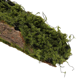 Zbliżenie na teksturę kory i zielony mech. Widoczne detale naturalnego wykończenia podkładu florystycznego.