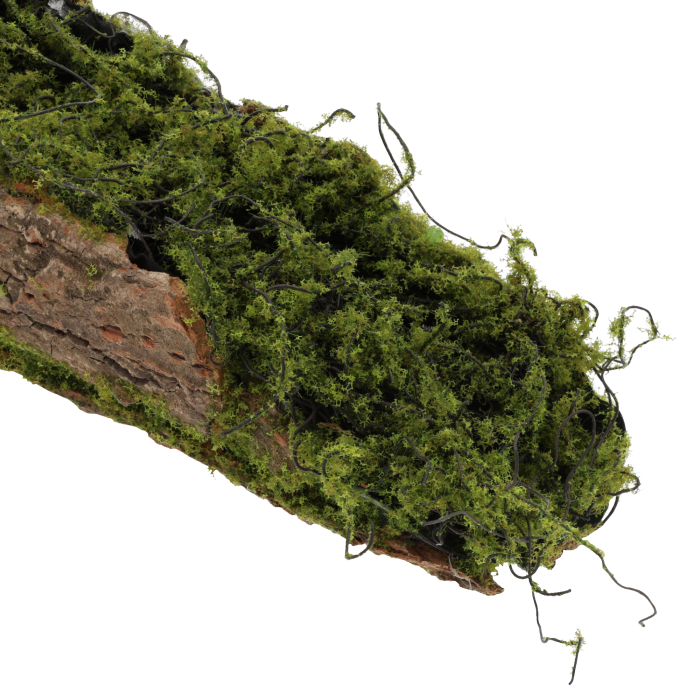 Zbliżenie na teksturę kory i zielony mech. Widoczne detale naturalnego wykończenia podkładu florystycznego.
