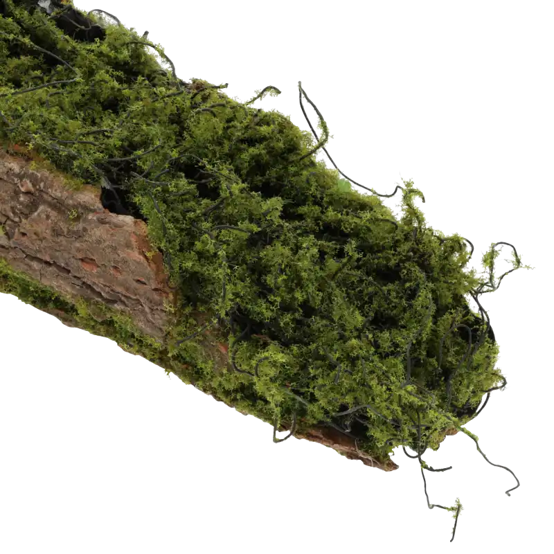 Zbliżenie na teksturę kory i zielony mech. Widoczne detale naturalnego wykończenia podkładu florystycznego.
