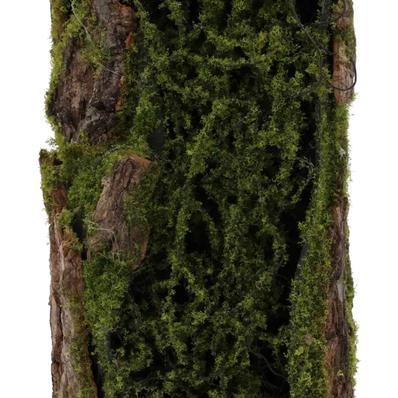 Pionowe ujęcie podkładu florystycznego z kory z mchem. Widoczna tekstura naturalnego drewna i zielonego mchu.