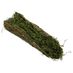 Naturalny podkład florystyczny kora z mchem o długości 50 cm. Estetyczna baza imitująca drewno do kompozycji i stroików.