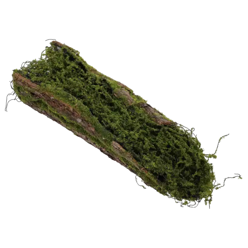 Naturalny podkład florystyczny kora z mchem o długości 50 cm. Estetyczna baza imitująca drewno do kompozycji i stroików.