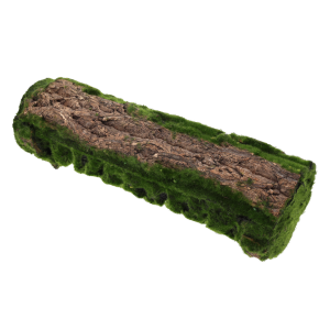 Kora z mchem do kompozycji 45 cm to naturalny podkład florystyczny o wyglądzie leśnego drewna pokrytego mchem. Idealna baza do dekoracji.