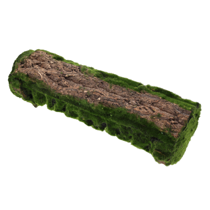 Kora z mchem do kompozycji 45 cm to naturalny podkład florystyczny o wyglądzie leśnego drewna pokrytego mchem. Idealna baza do dekoracji.