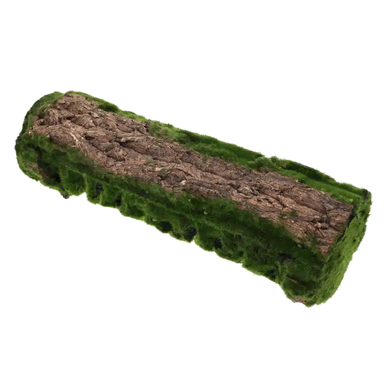Kora z mchem do kompozycji 45 cm to naturalny podkład florystyczny o wyglądzie leśnego drewna pokrytego mchem. Idealna baza do dekoracji.