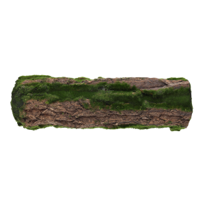 Widok z boku na podkład florystyczny imitujący naturalny fragment leśnego pnia. Doskonały element do rustykalnych kompozycji.