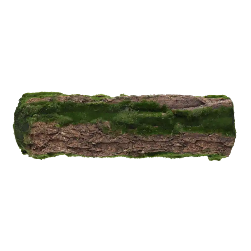 Widok z boku na podkład florystyczny imitujący naturalny fragment leśnego pnia. Doskonały element do rustykalnych kompozycji.
