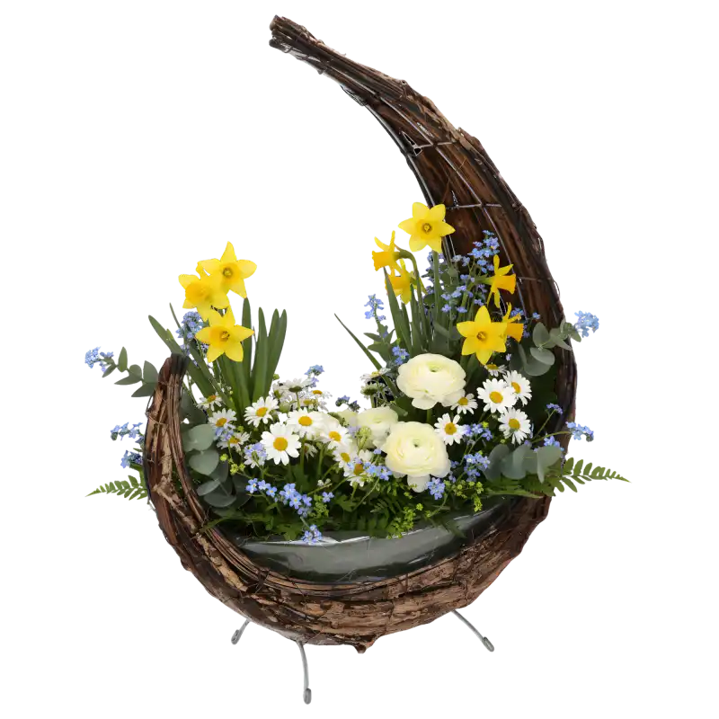 Pozłacany kosz z kory wypełniony wiosenną kompozycją z żółtych żonkili, białych jaskrów i margerytek. Naturalna oprawa florystyczna.