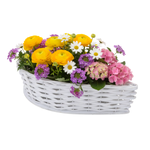 Biała osłonka wiklinowa 33 cm wypełniona kolorową kompozycją z kwiatów doniczkowych. Inspiracja na naturalną dekorację wnętrza.
