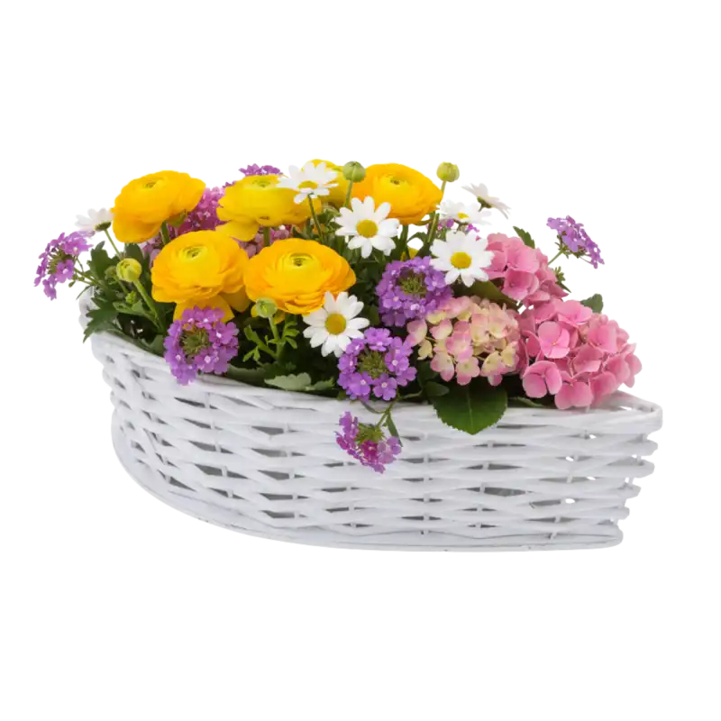 Biała osłonka wiklinowa 33 cm wypełniona kolorową kompozycją z kwiatów doniczkowych. Inspiracja na naturalną dekorację wnętrza.
