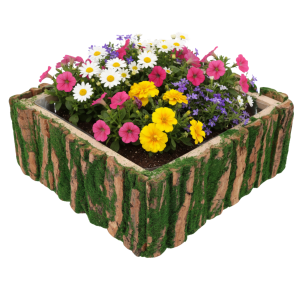 Kwadratowa osłonka z kory o wymiarach 25x25 cm wypełniona wielobarwną kompozycją kwiatową. Naturalny design podkreśla rustykalny charakter aranżacji roślinnych.