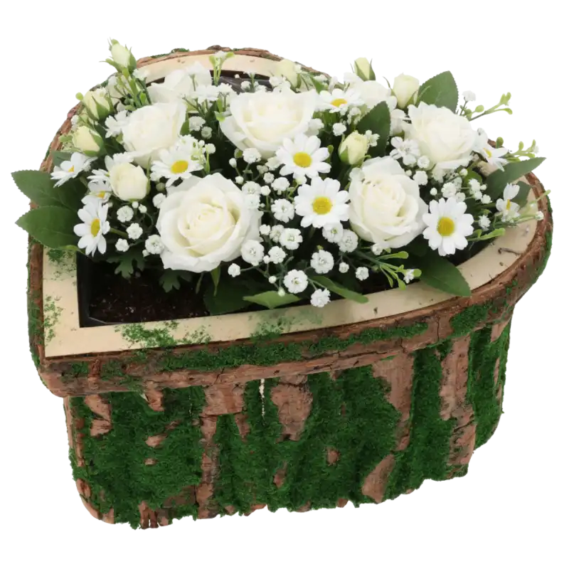 Osłonka z kory w kształcie serca wypełniona bukietem białych róż i margaretek. Naturalna dekoracja florystyczna.