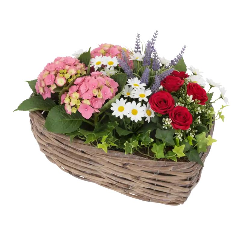 Osłonka wiklinowa serce 32x27 cm wypełniona kompozycją z kwiatów doniczkowych, w tym róż i hortensji. Idealna dekoracja wnętrz.