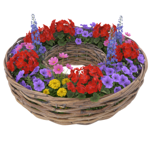 Gotowa kompozycja florystyczna z kwiatami w okrągłej osłonce wiklinowej 35 cm. Zastosowanie folii pozwala na bezpieczne podlewanie roślin.