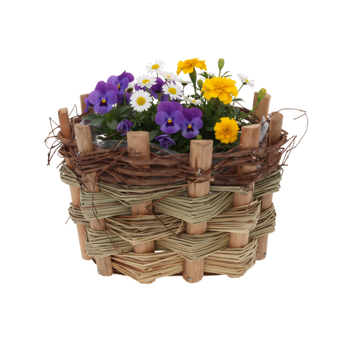Owalna osłonka drewniana 18x14 cm wypełniona kolorowymi wiosennymi kwiatami, wyeksponowana na białym tle.