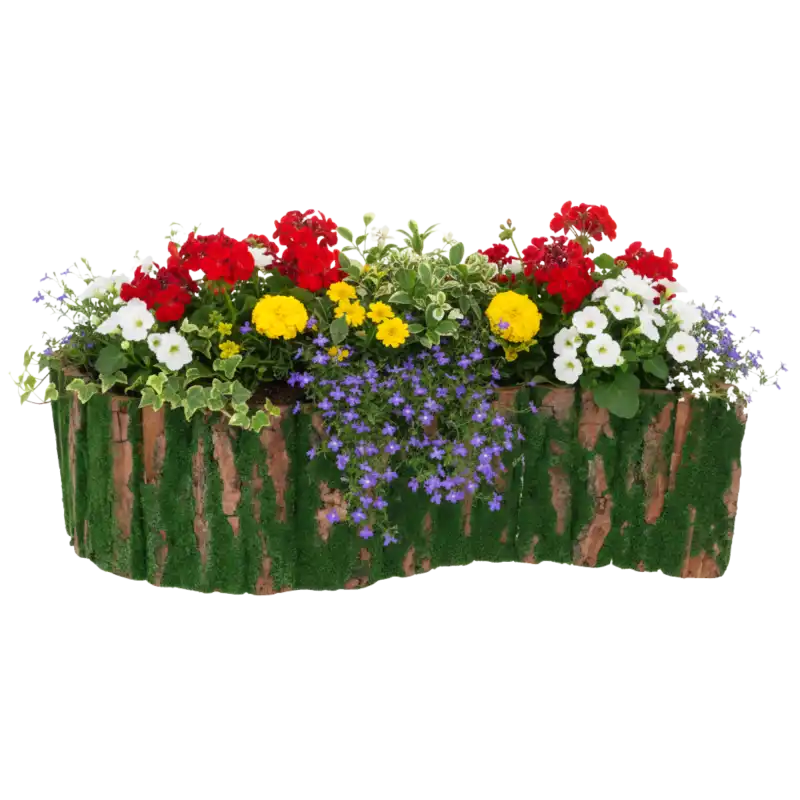 Osłonka z kory wypełniona kolorową kompozycją kwiatową z pelargoniami i lobelią, idealna ozdoba na balkon.