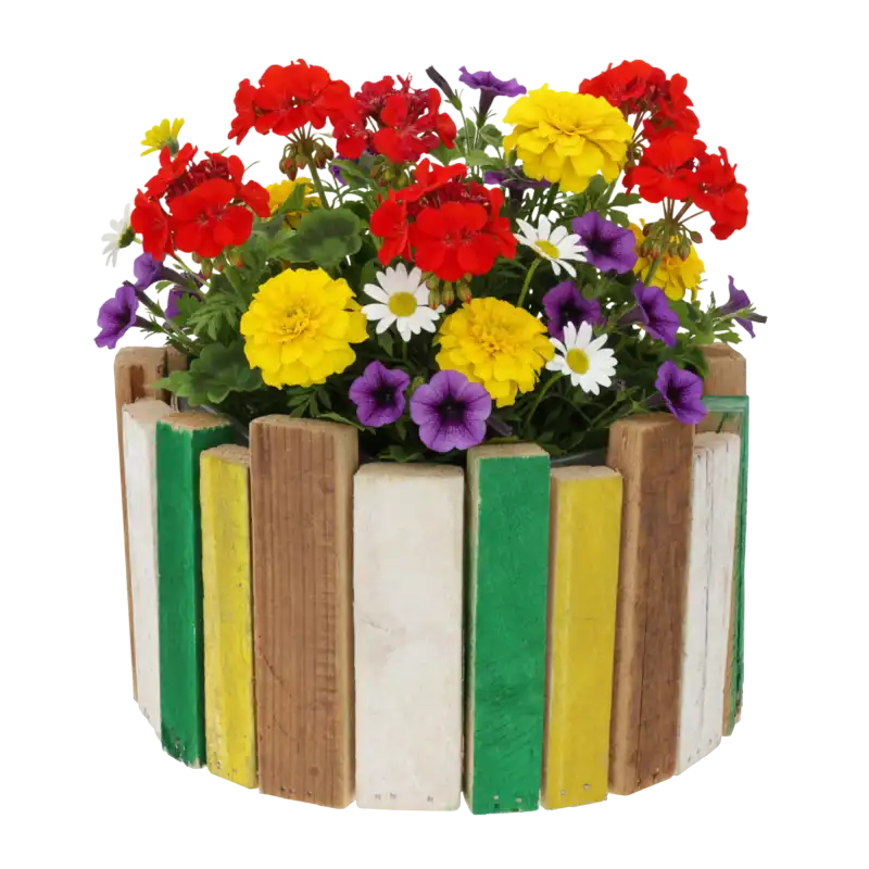 Drewniana osłonka 22 cm wypełniona różnorodnymi kwiatami, takimi jak pelargonie i aksamitki, na białym tle.