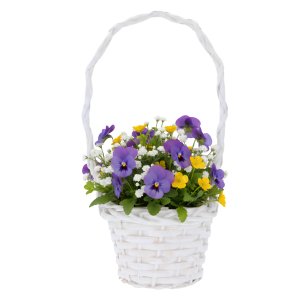 Biały koszyk z wikliny wypełniony kolorowymi bratkami i gipsówką. Dekoracja kwiatowa o wysokości 33 cm.