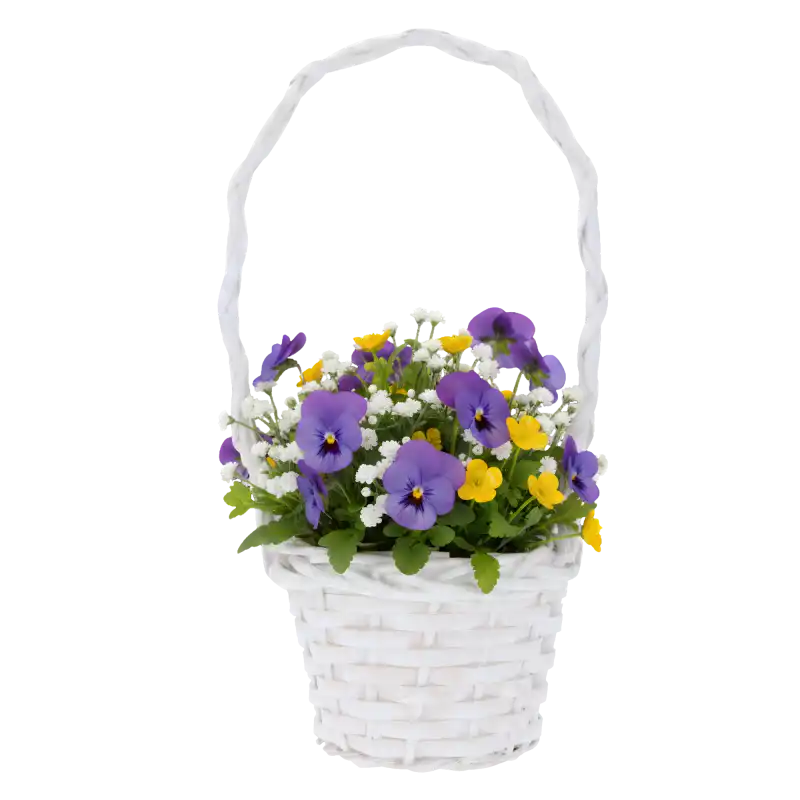 Biały koszyk z wikliny wypełniony kolorowymi bratkami i gipsówką. Dekoracja kwiatowa o wysokości 33 cm.