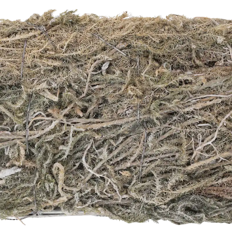 Szczegółowy widok na teksturę naturalnego mchu i splecionych gałązek tworzących organiczną strukturę doniczki.