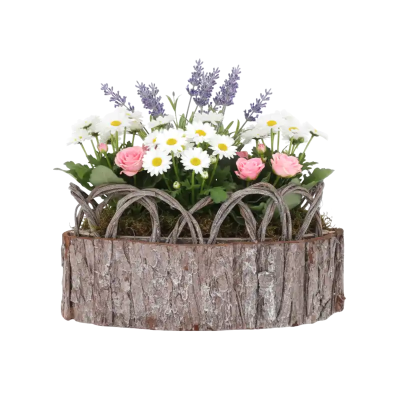 Osłonka z kory 28x14 cm wypełniona wiosenną kompozycją z margerytek, róż i lawendy na białym tle.