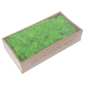 Jasnozielony mech chrobotek 500g w opakowaniu foliowym, gotowy do użycia jako naturalny podkład florystyczny w nowoczesnych aranżacjach wnętrz.