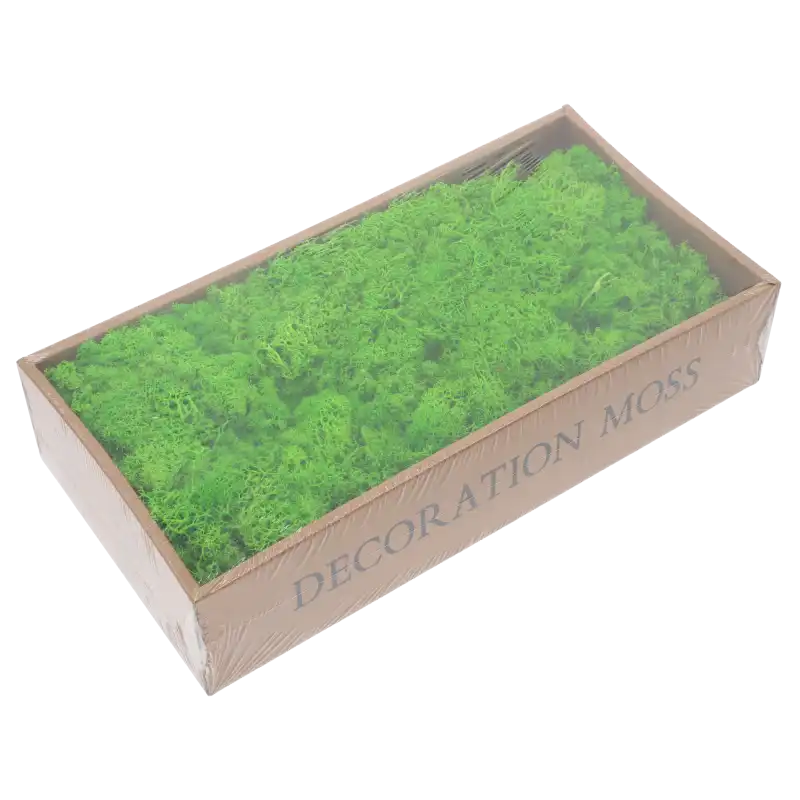 Jasnozielony mech chrobotek 500g w opakowaniu foliowym, gotowy do użycia jako naturalny podkład florystyczny w nowoczesnych aranżacjach wnętrz.